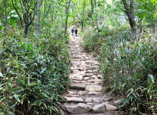 ▲ 속리산 할딱고개. 북적대는 사람을 피해 산으로 왔는데 산에서 사람을 만나면 그렇게 반가울 수가 없다. 함께 고락을 나누었다는 생각 때문일까?