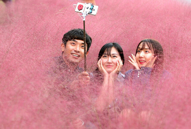 기사사진
