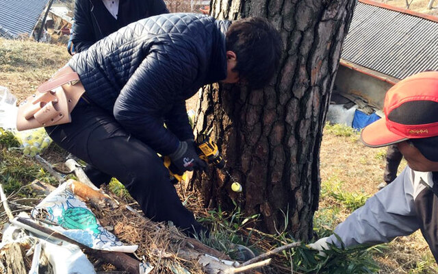 기사사진