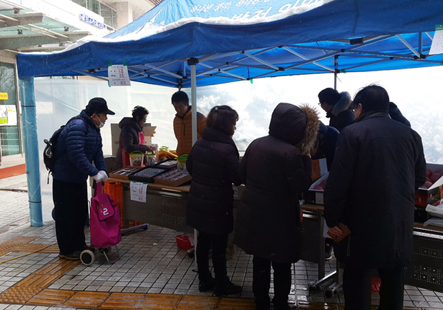 기사사진