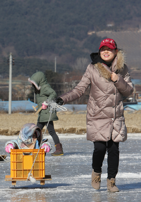 기사사진
