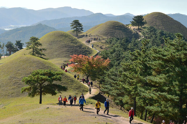 ▲ 고령군 지산동 고분군에서 산책을 즐기는 관광객들.