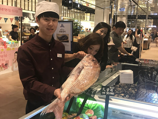 기사사진