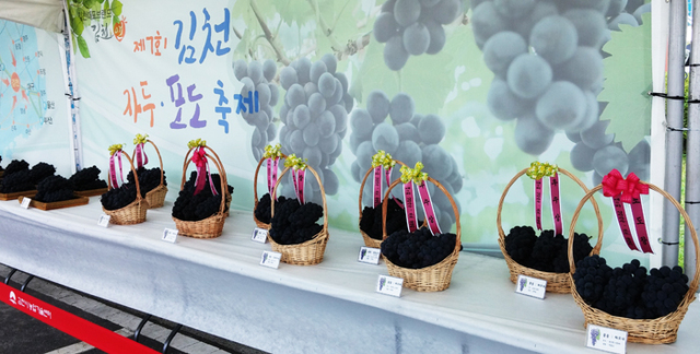 ▲ 김천에서 생산된 포도 전시.