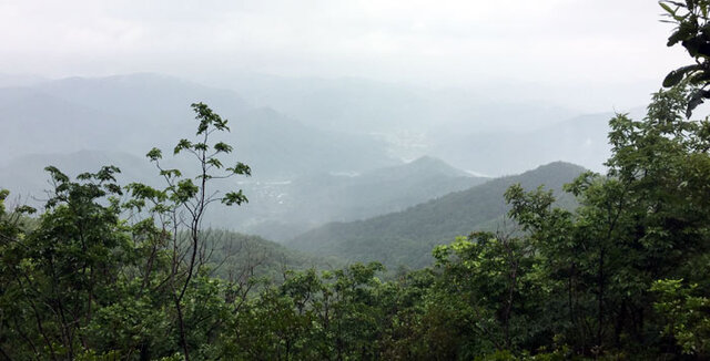 ▲ 백학산 정상에서 바라본 대포리예요. 저 희뿌연 산에서부터 몰려오는 비구름 보이세요. 아마 저 비구름이 저를 따라왔나 봐요. 비는 한곳 빠짐없이 내려앉았고, 저는 비속을 새처럼 물고기처럼 반은 날고 반은 헤엄쳐 윗왕실재에 닿았어요. 저도 모르게 터져 나오는 함성 때문에 목이 다 쉴 정도였죠. 비속에서 여름은 무성해져가고 있었고, 저 역시 자꾸만 자랄 수 있을 것 같았어요.