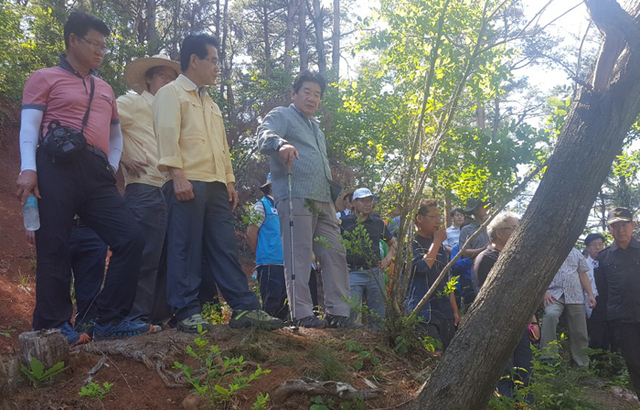 ▲ 자유한국당 강석호 의원이 26일 울진 매화면 석회석광산의 붕괴현장을 찾아, 임광원 울진군수를 비롯해 정부 관계자들과 함께 대책을 논의했다.  <br /><br />/강석호 국회의원실 제공
