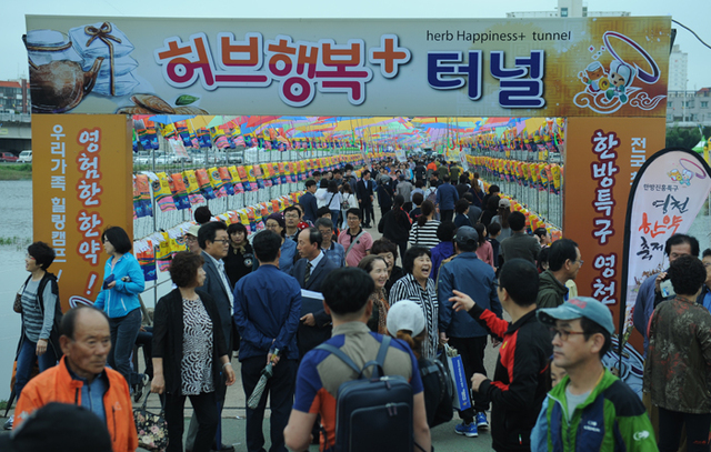 ▲ 한약·과일축제의 `허브행복 플러스 터널`.<br /><br />/영천시 제공