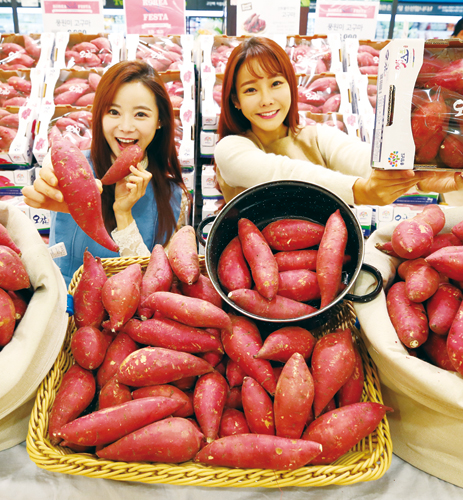 기사사진