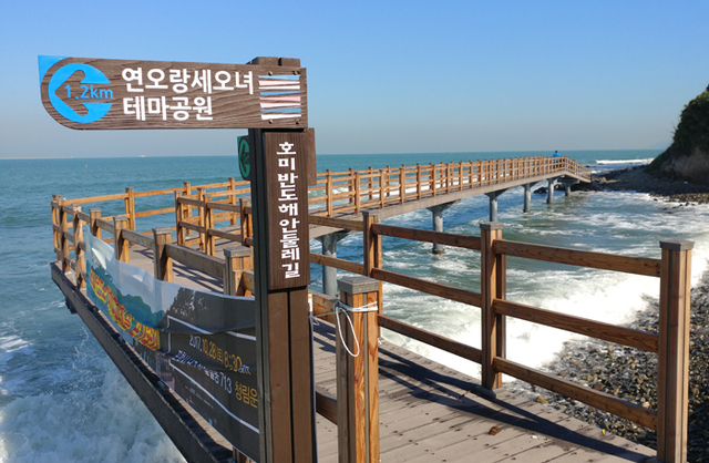 ▲ 동해안을 따라 조성된 호미반도 해안둘레길을 걷다 보면 마치 바다 한가운데를 걸어다니는 듯한 기분을 받는다. 호미반도 해안둘레길 2코스 `선바우길`에 설치된 목재데크 아래로 시원한 파도가 몰아치고 있다.                                                                                 /고세리기자 manutd20@kbmaeil.com