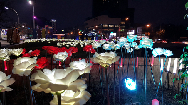 ▲ 영일대 밤바다를 배경으로 핀 LED장미꽃들=영일대해수욕장에 겨울 장미가 가득 피었다. 최근 포항시는 겨울 바다를 찾은 시민과 관광객이 빛나는 장미꽃을 감상할 수 있도록 영일대장미원에 LED장미를 설치했다.  /포항시 제공