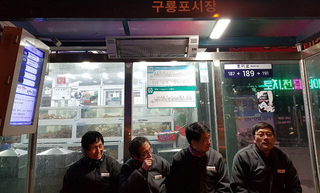 기사사진