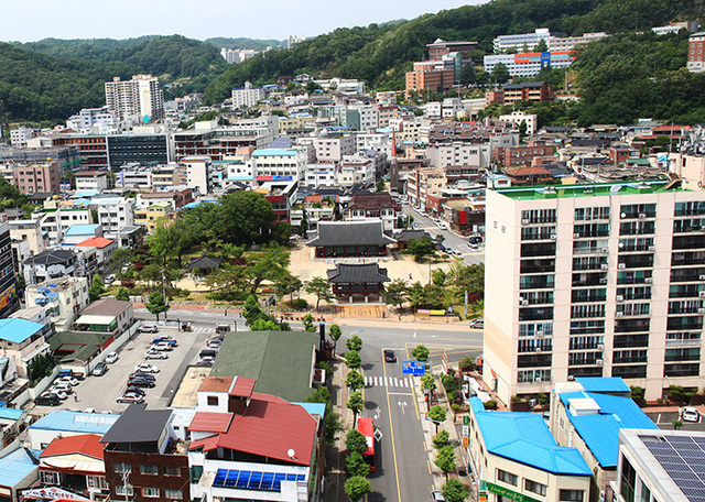 기사사진