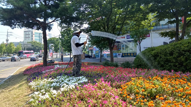 기사사진