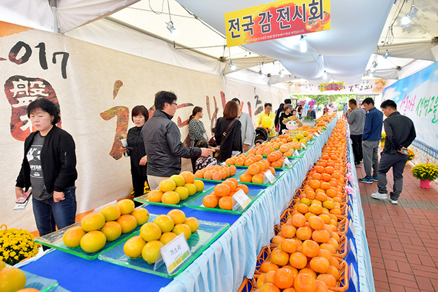 ▲ 지난 해 열린 청도반시축제 행사 모습.