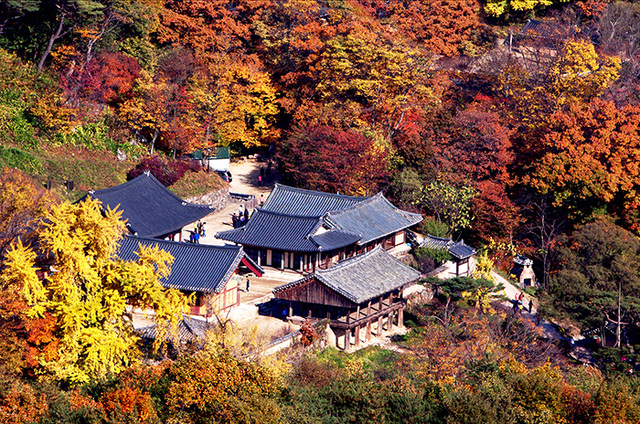▲ 봉정사