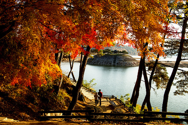 ▲ 도산서원