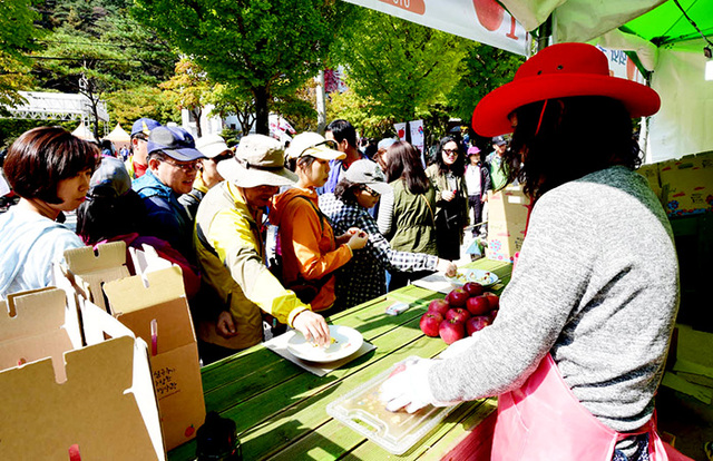 ▲ 축제장을 찾은 관광객들이 문경사과를 맛보고 있다.  /문경시 제공