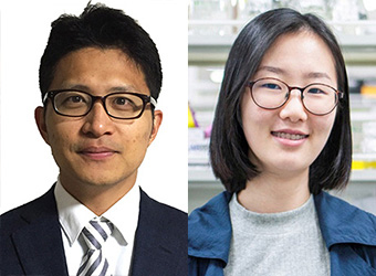 기사사진