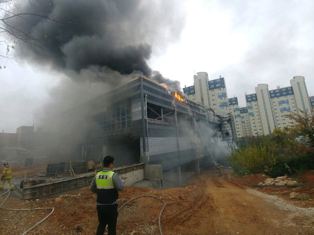 기사사진