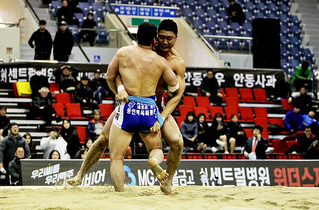 기사사진