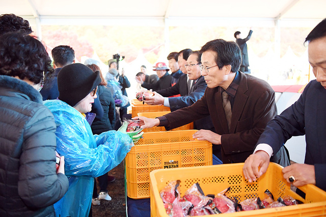 기사사진