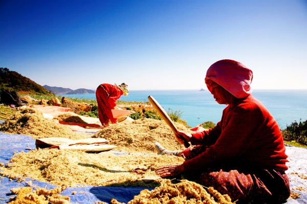 세상 모든 어머니는 자식을 기다리며 산다. 그 기다림의 힘으로 모진 세파를 이겨낸다.