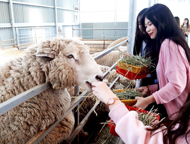기사사진