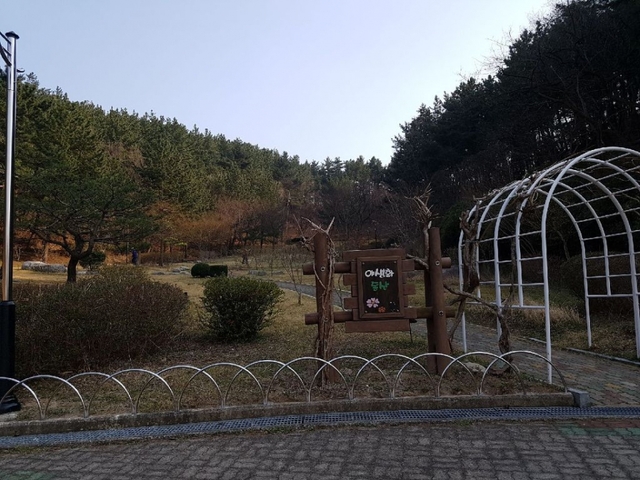 중앙공원 야생화동산 전경.