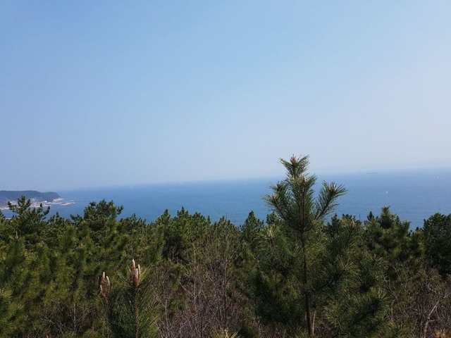 환호공원 최고봉의 정자에서 본 영일만 신항 북방파제 모습.