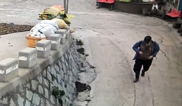 기사사진