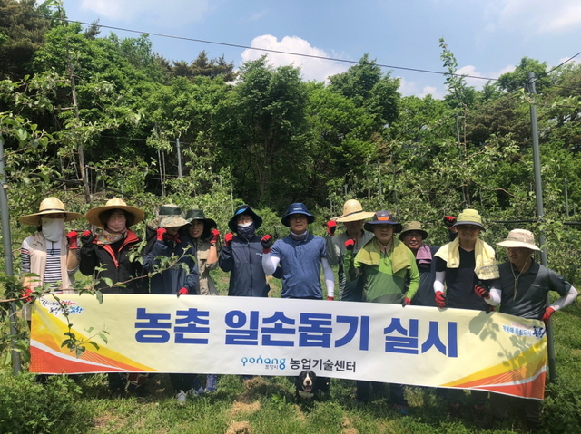 기사사진