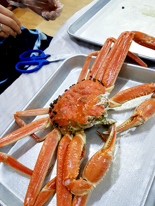 찜통에서 30분간 쪄낸 울진 박달대게.