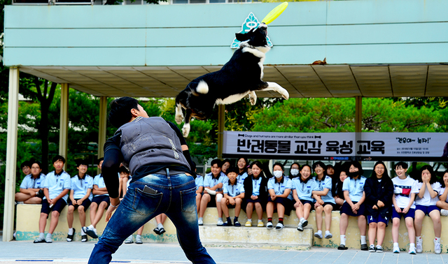 기사사진