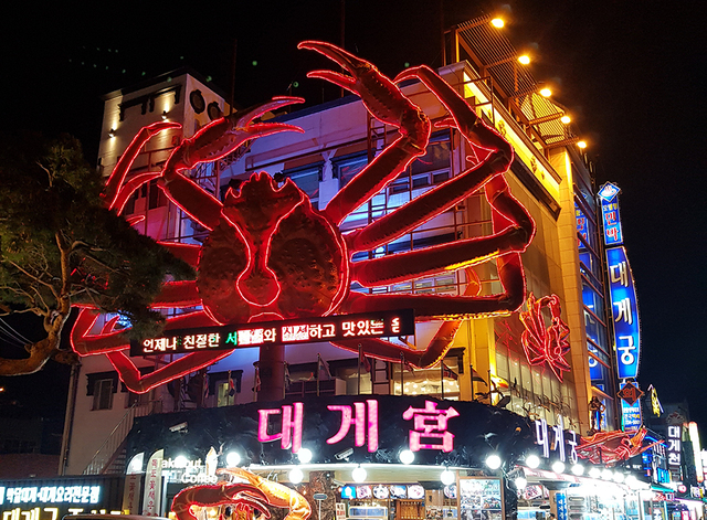 ▲강구항의 밤 풍경.