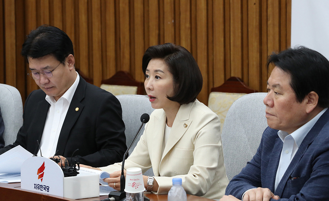 자유한국당 나경원 원내대표가 20일 회의에서 발언하고 있다.   /연합뉴스
