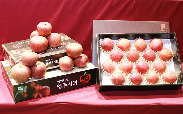 영주사과 선물세트.