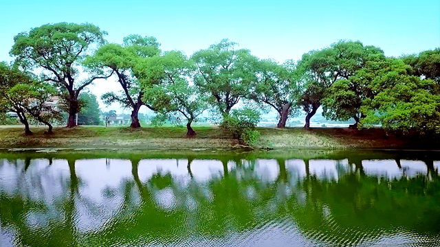 경산 반곡지