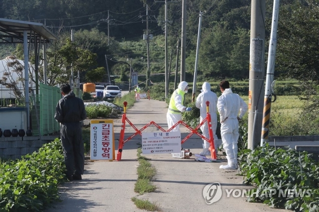 17일 경기도 파주시의 한 양돈농장에서 아프리카돼지열병(ASF)이 발생해 방역당국이 출입을 통제하고 있다.