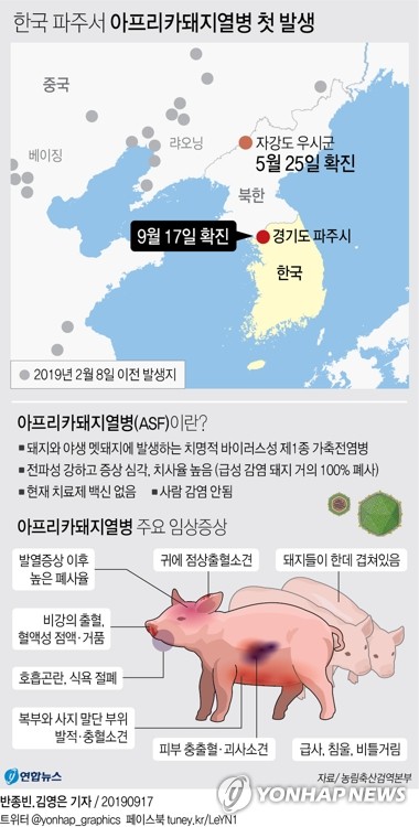 농림축산식품부는 16일 경기도 파주시의 한 양돈농장에서 아프리카돼지열병이 발생했다고 17일 발표했다.
