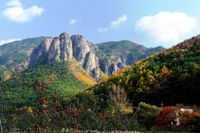 주왕산의 가을 풍경.