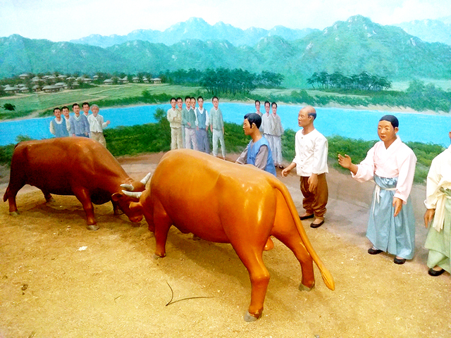 ‘청도 소싸움테마파크’.