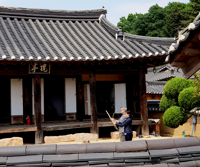 영덕 영해면 괴시리 괴정의 전통 활쏘기 체험.