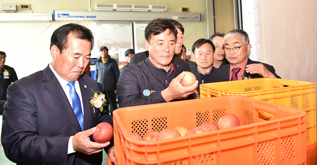 청송군이 부실 공기업인 청송사과유통공사를 정리하고 청송사과산지유통센터를 본격 가동하고 있다.