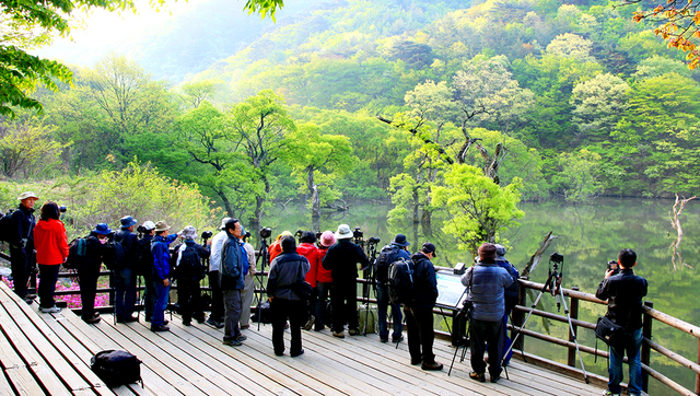 청송 주산지