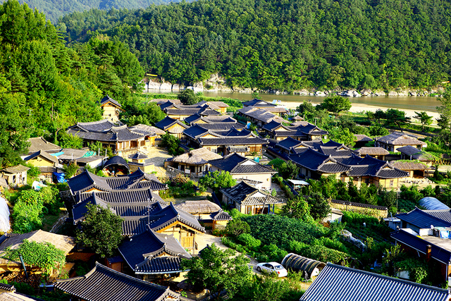 영주 무섬마을.