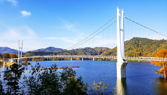 부항댐 출렁다리