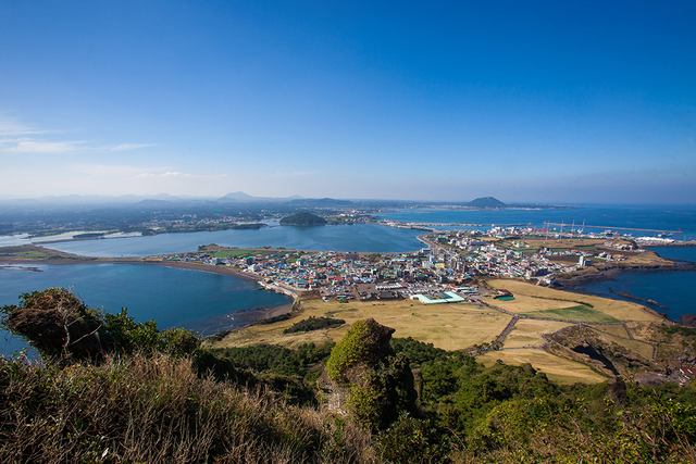 지척에 바다를 둔 제주도의 작은 마을.