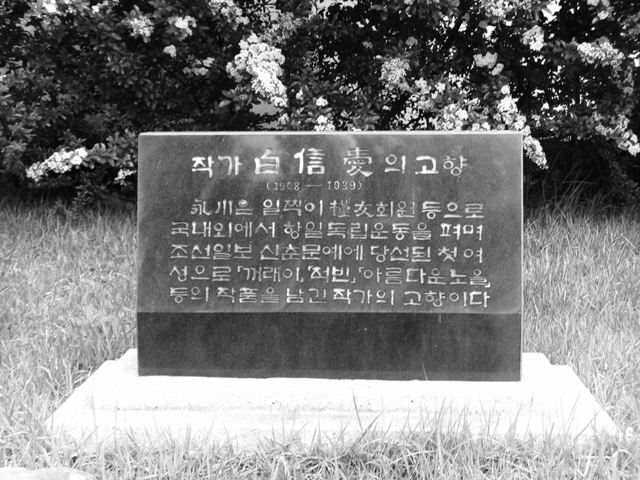 백신애비. /경북여성정책개발원 제공
