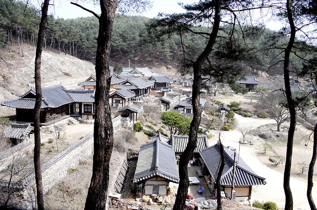 서쪽에서 바라본 군자마을.