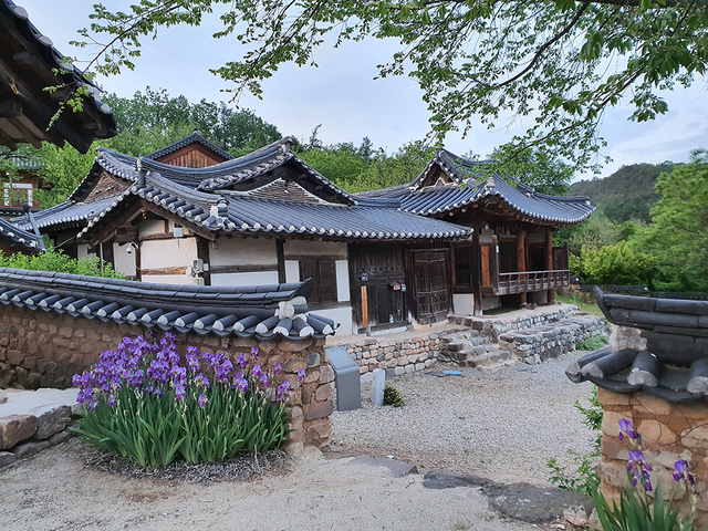 석보 주남에서 옮겨온 유우당고택.